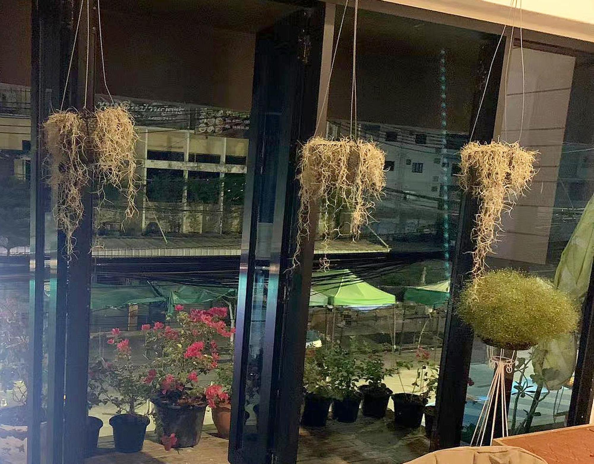 Susu Khaosan Hostel Bangkok Kültér fotó